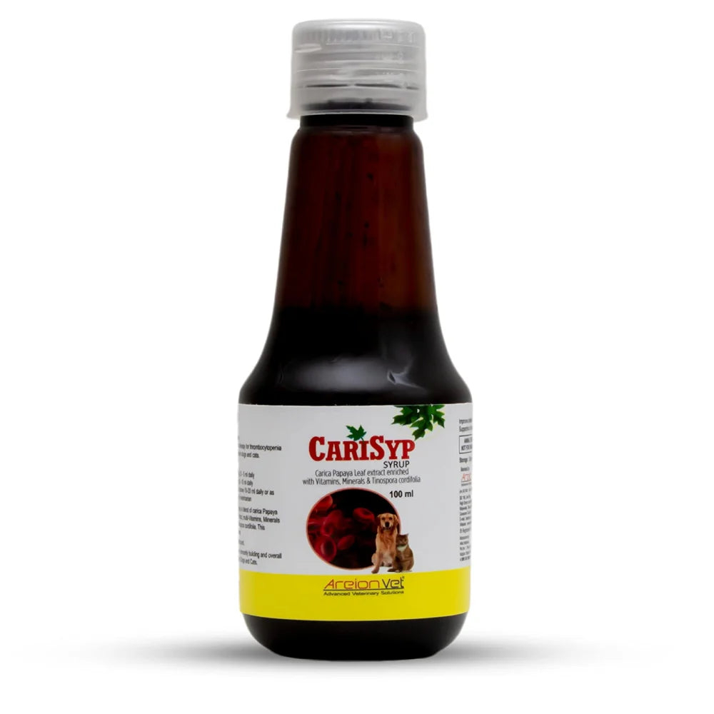 CARISYP 100ML
