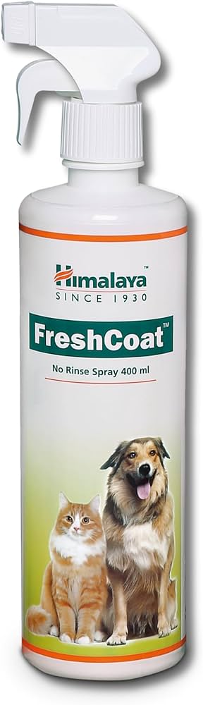 FRESH COAT 400ML