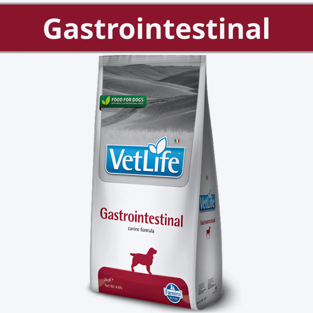 V-LIFE DOG GASTRO