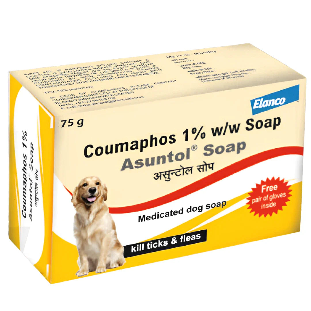 ASUNTOL SOAP