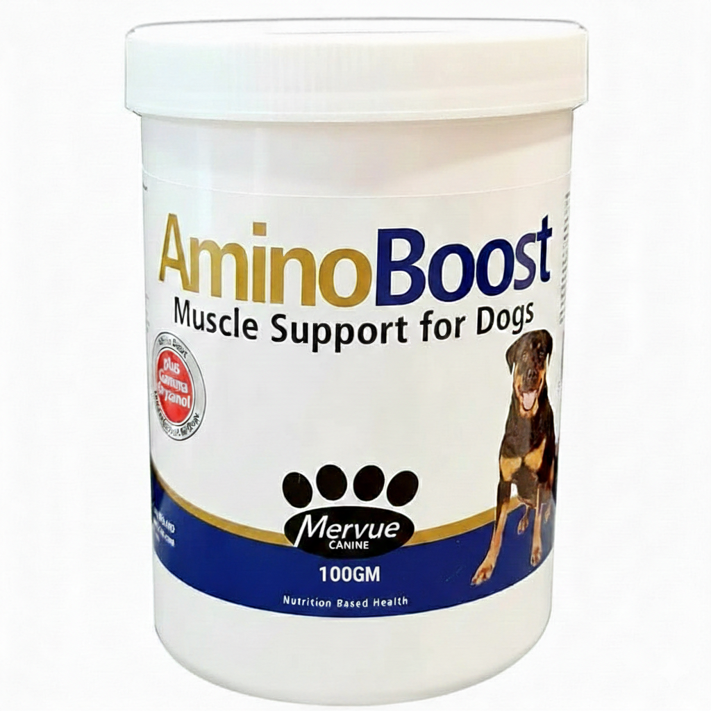 AMINOBOOST 100GM