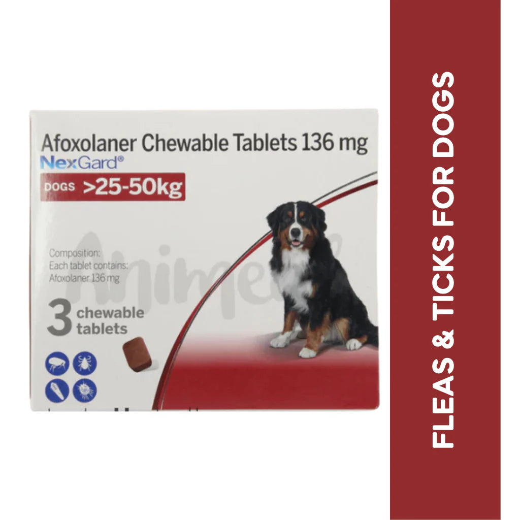 NEXGARD DOG M 1.3
