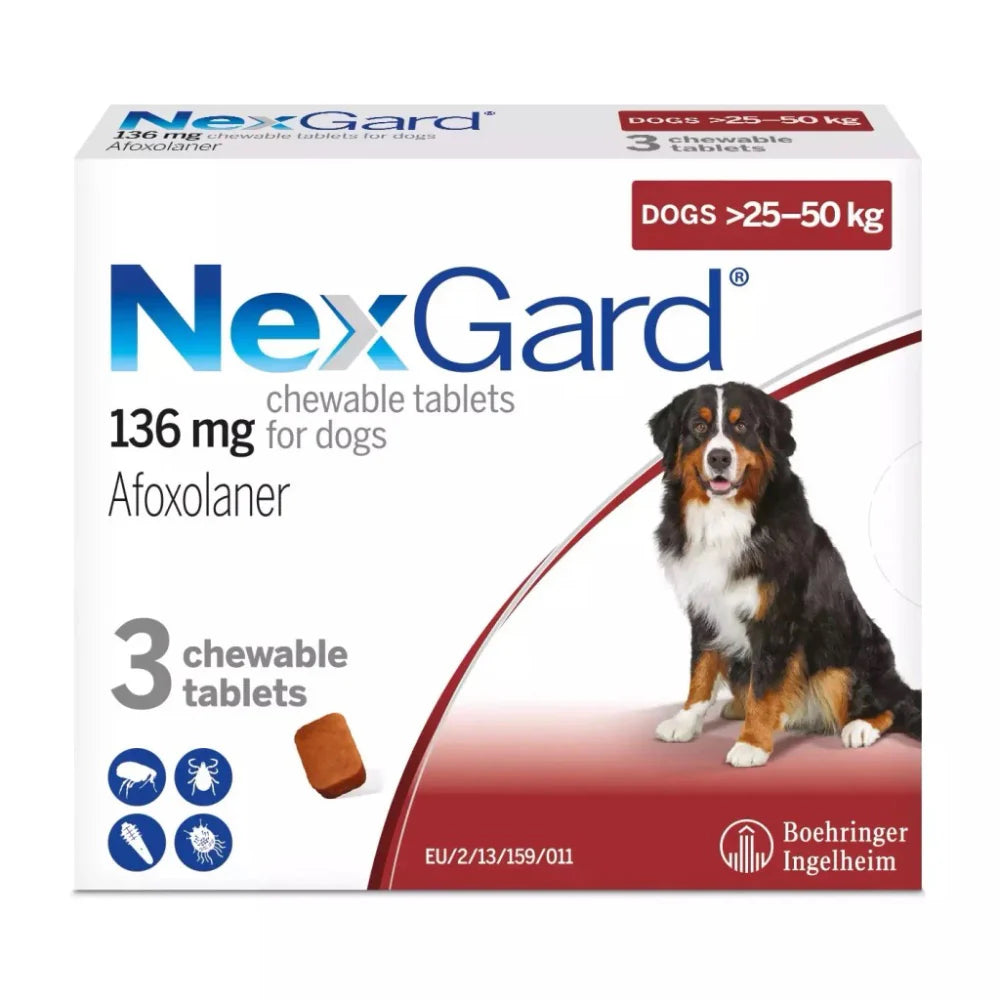 NEXGARD DOG XL 1*3
