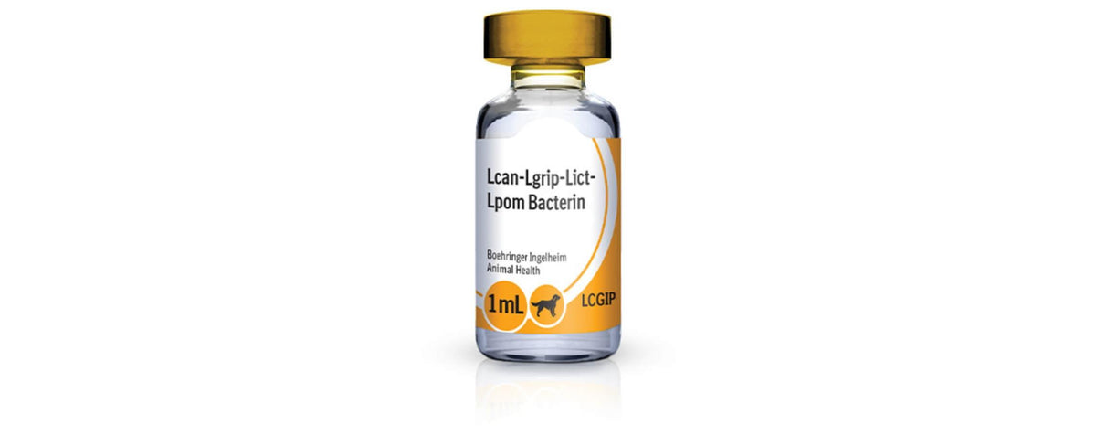 RECOMBI LEPTO 4 INJ
