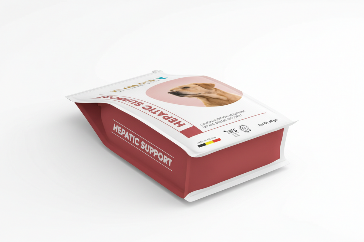VIV DIET HEPATIC SUPPORT 80gm