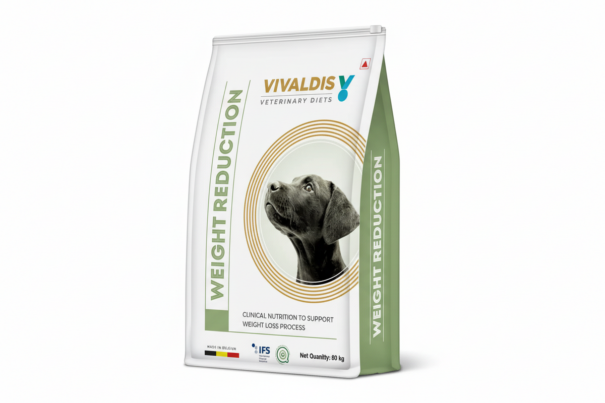 VIV DIET WEIGHT REDUCTION 80GMS