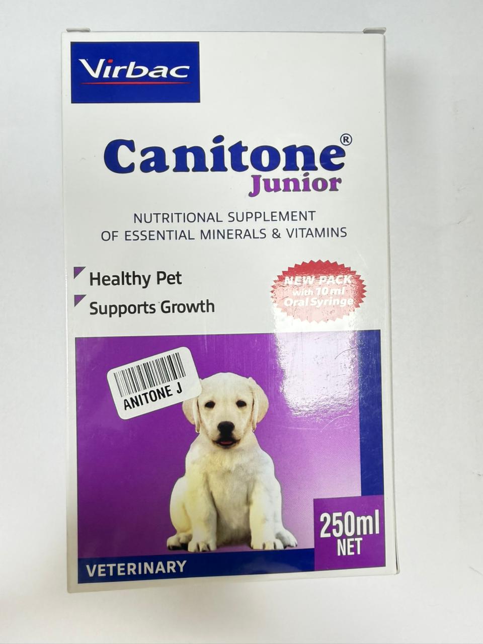 CANITONE JR