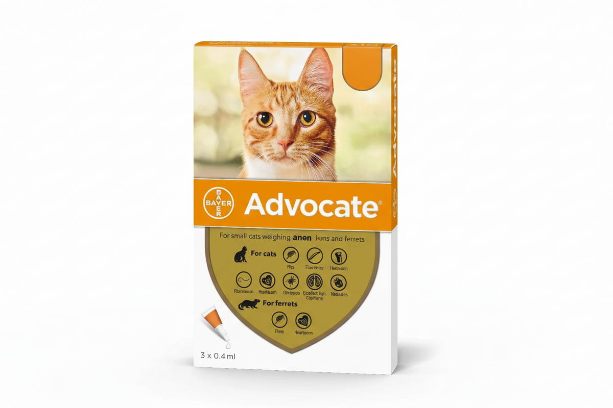 ADVOCATE CAT