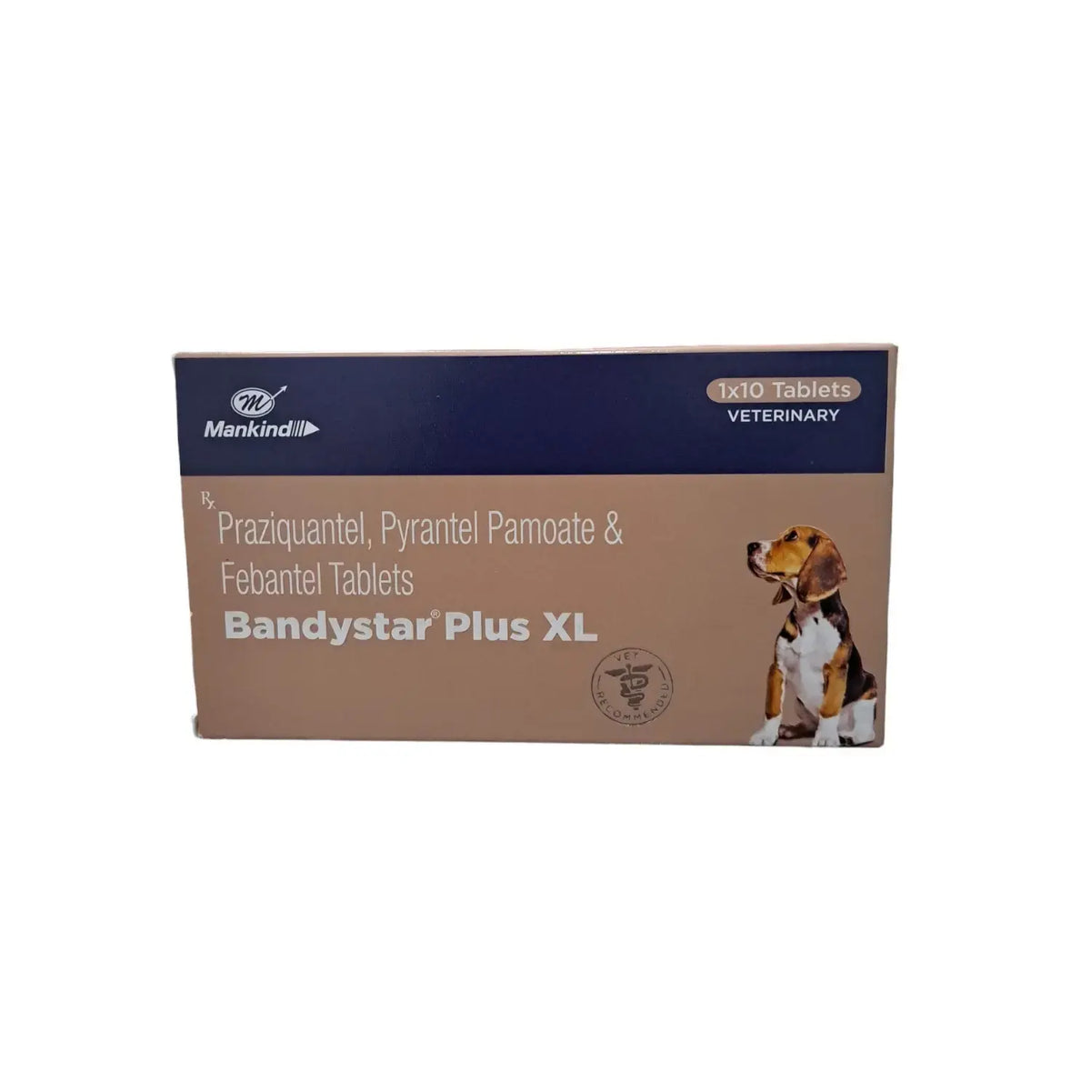BANDYSTAR PLUS XL