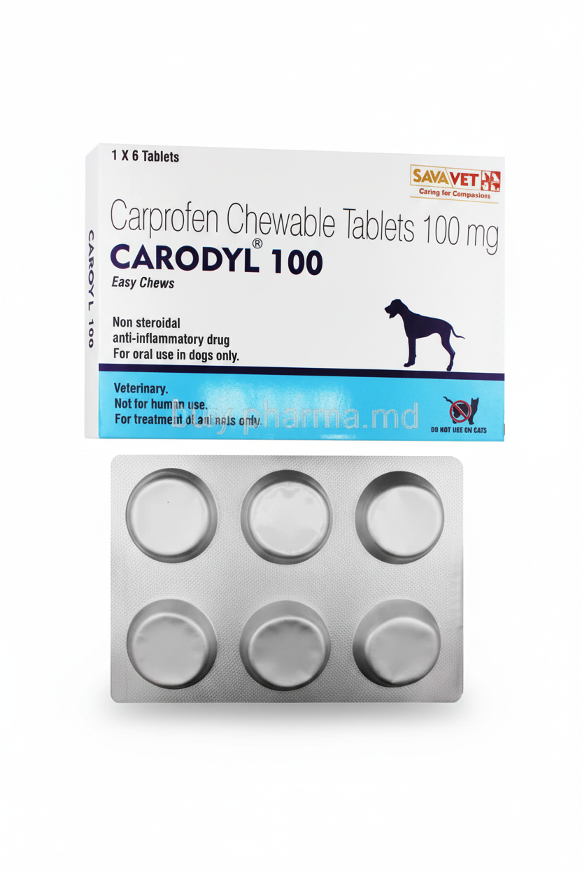 CARODYL (1*6) TAB 100mg 1*6