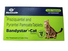 BANDYSTAR CAT TABLETS