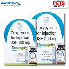DOCMYCIN 200MG INJ