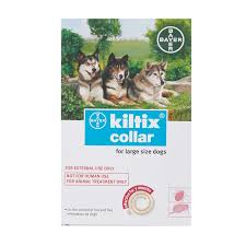 KILLTIX LARGE COLLAR