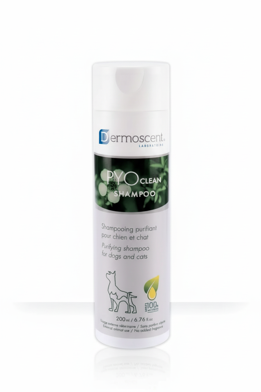 PYOCLEAN SHAMPOO FOR DOGS&CATS 200ml