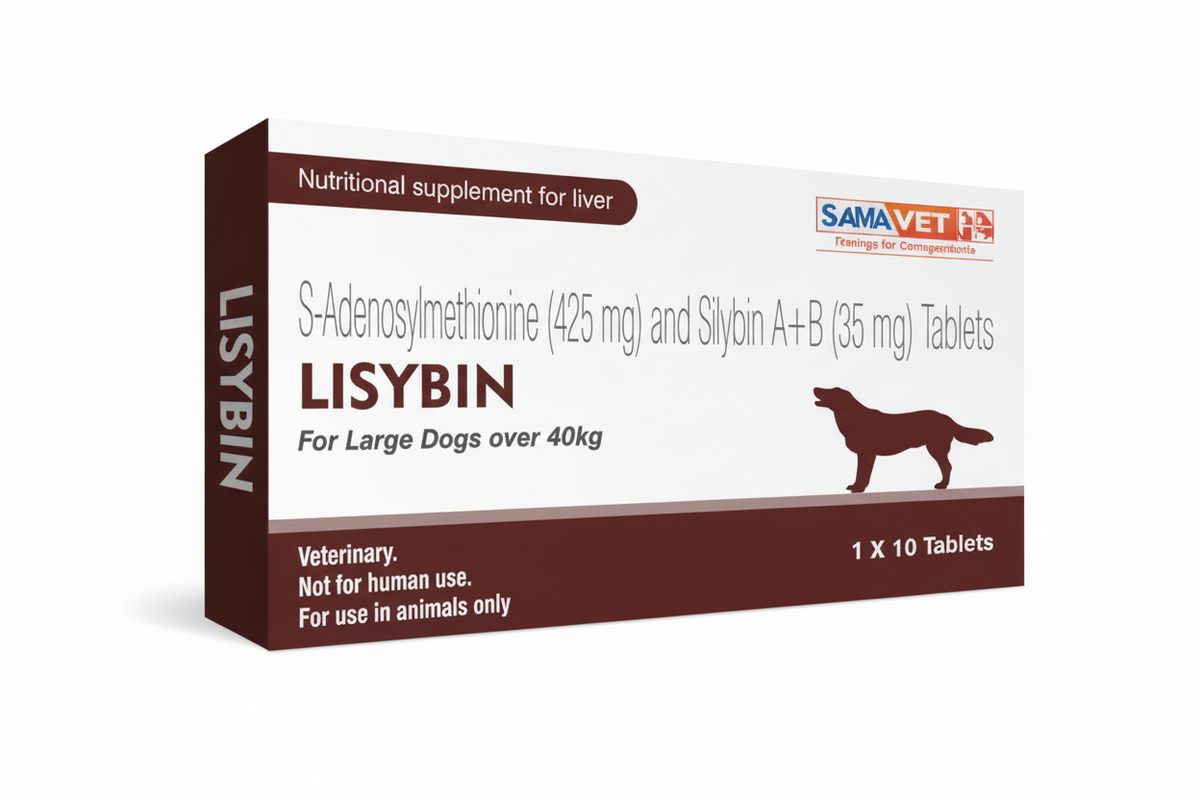 LISYBIN FOR LARGE 1*10 425MG 1*10