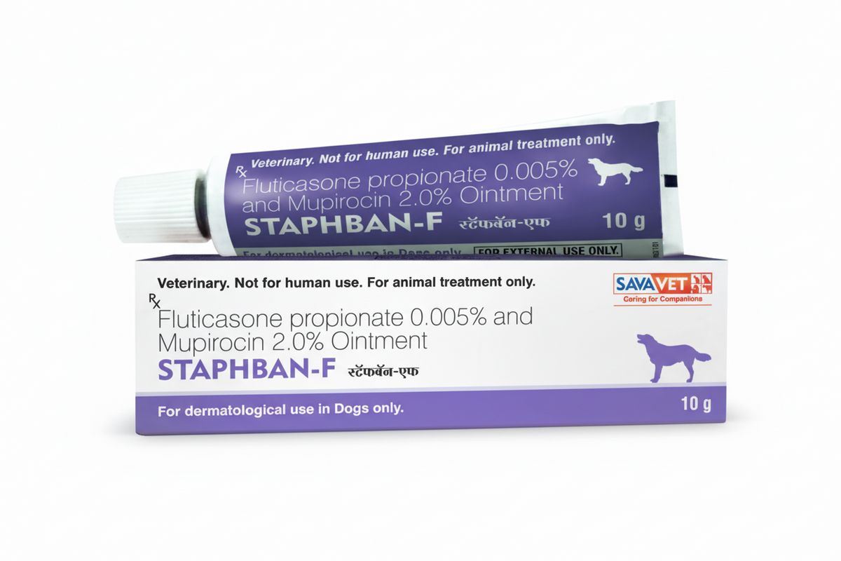 STAPHBAN F OINTMENT 10 gm