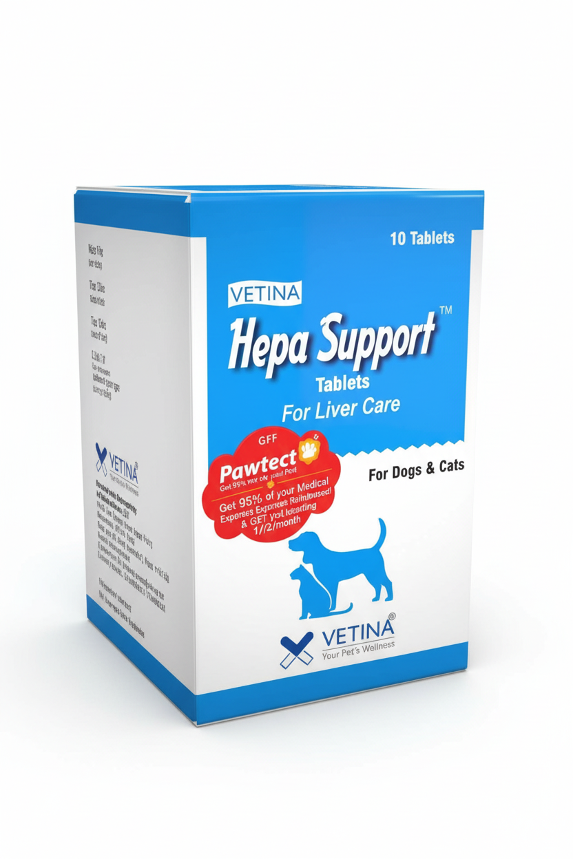 HEPA SUPPORT