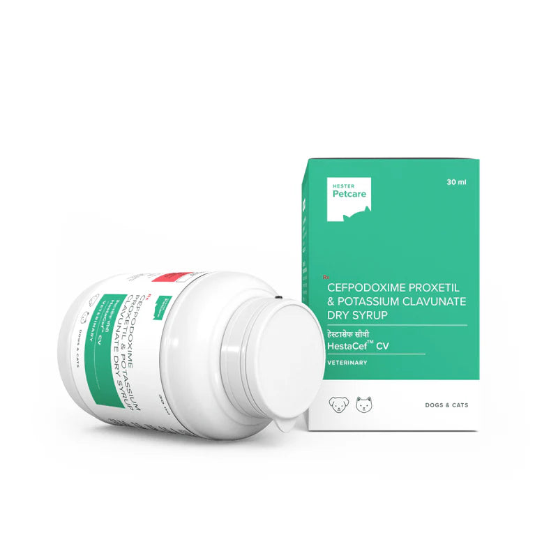 HESTACEF CV DRY SYRUP