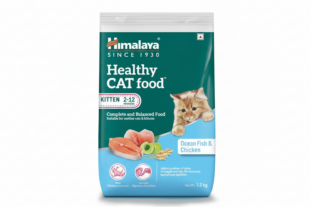 HEALTHY CAT KITTEN OCEAN FISH