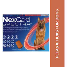 NEXGARD SPECTRA-XL