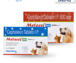 METACEF 600MG