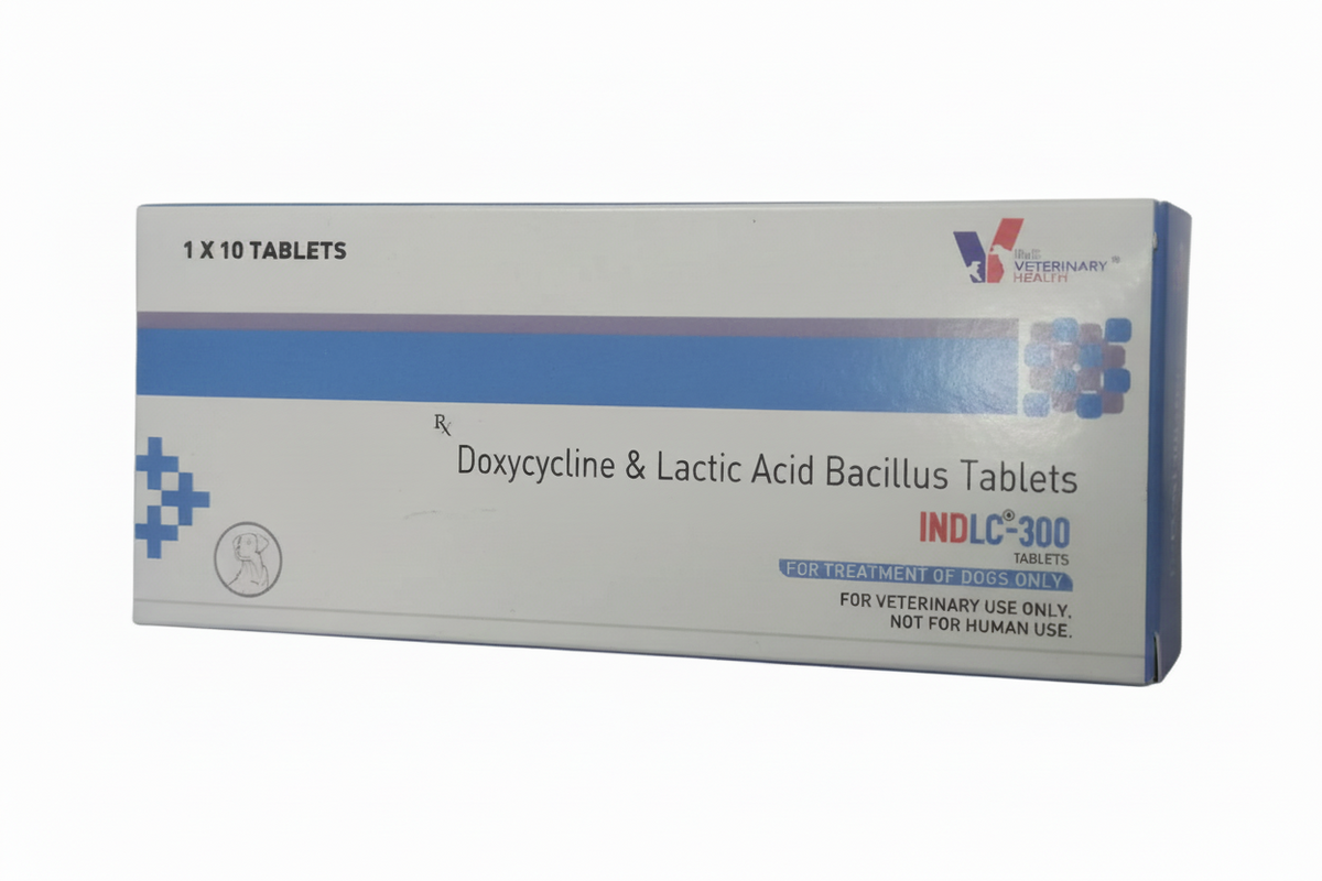 INDLC 300TAB