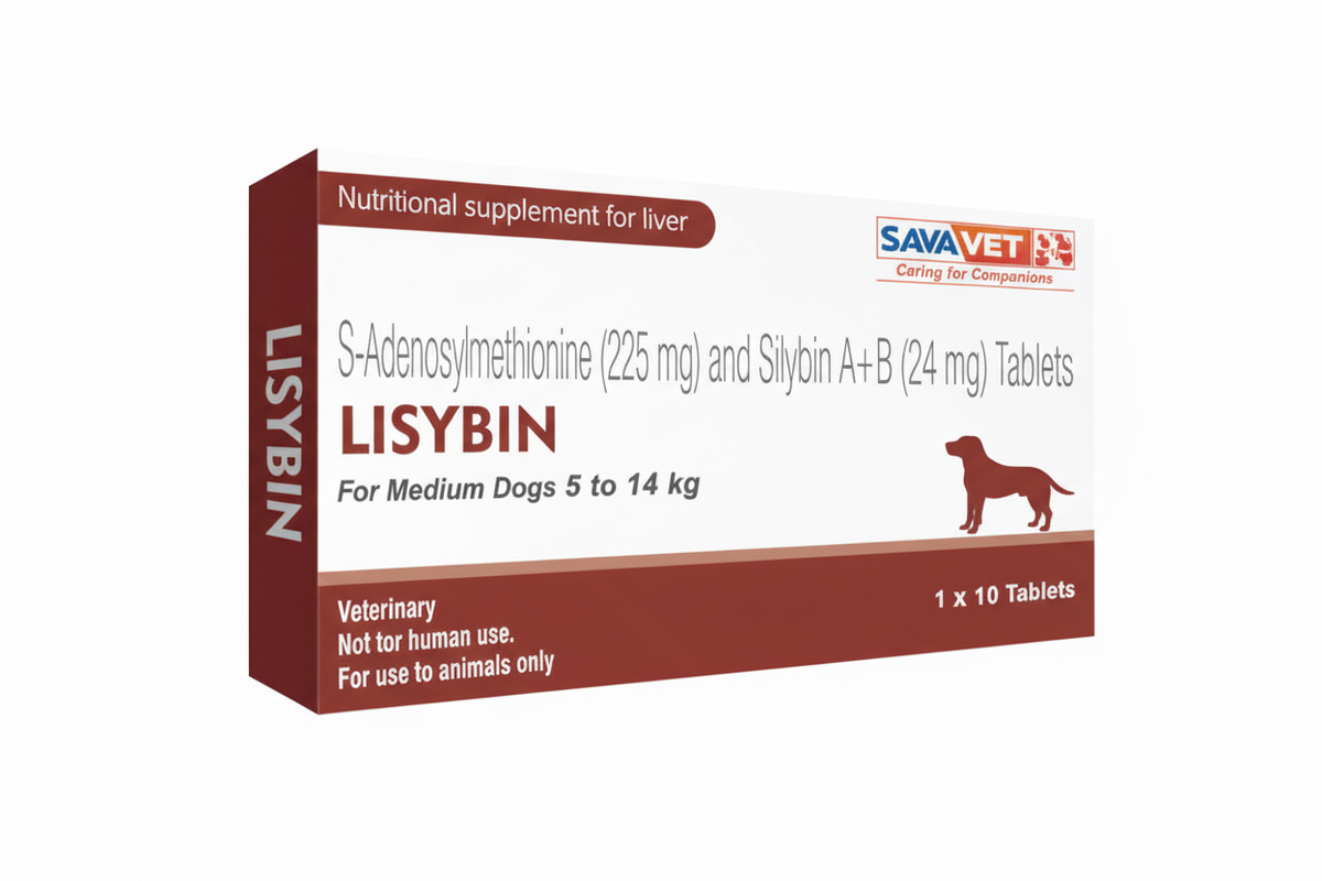 LISYBIN FOR MEDIUM DOGS 225MG 1 x 10s