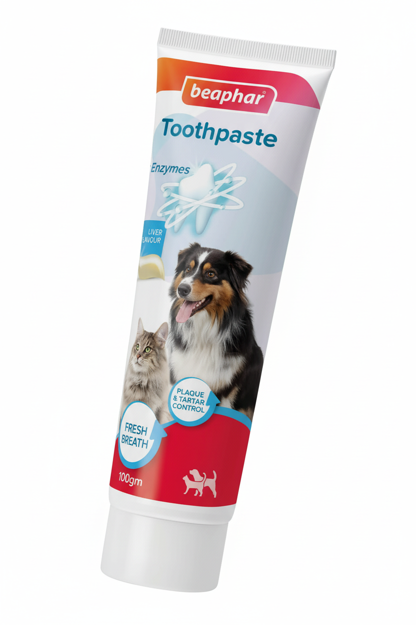 TOOTHPASTE LIVER 100GM