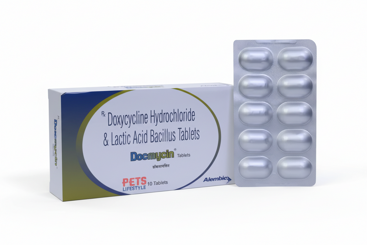 DOCMYCIN 10 TAB