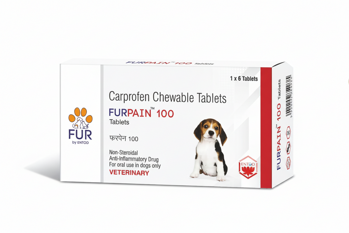 FURPAIN 100TAB 1*6