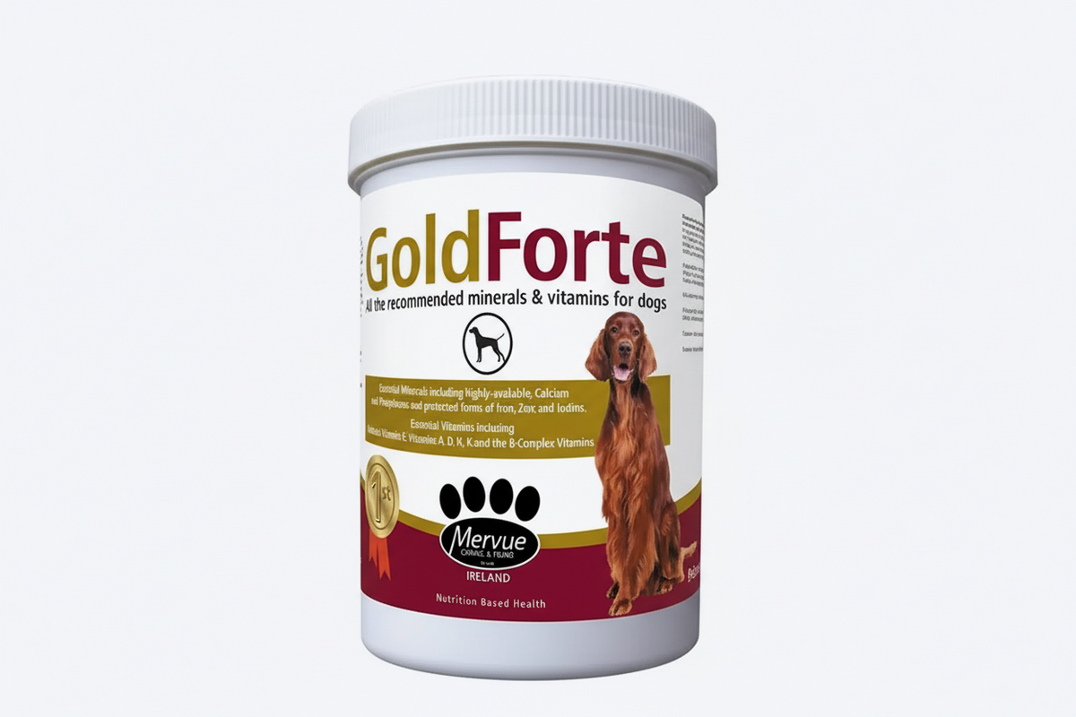 GOLDFORTE DOG 1KG