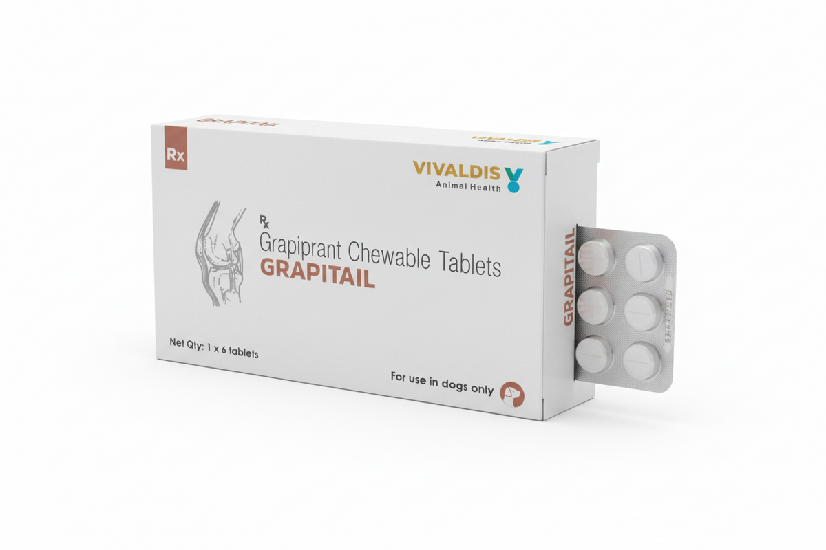 VIV RX GRAPITAIL