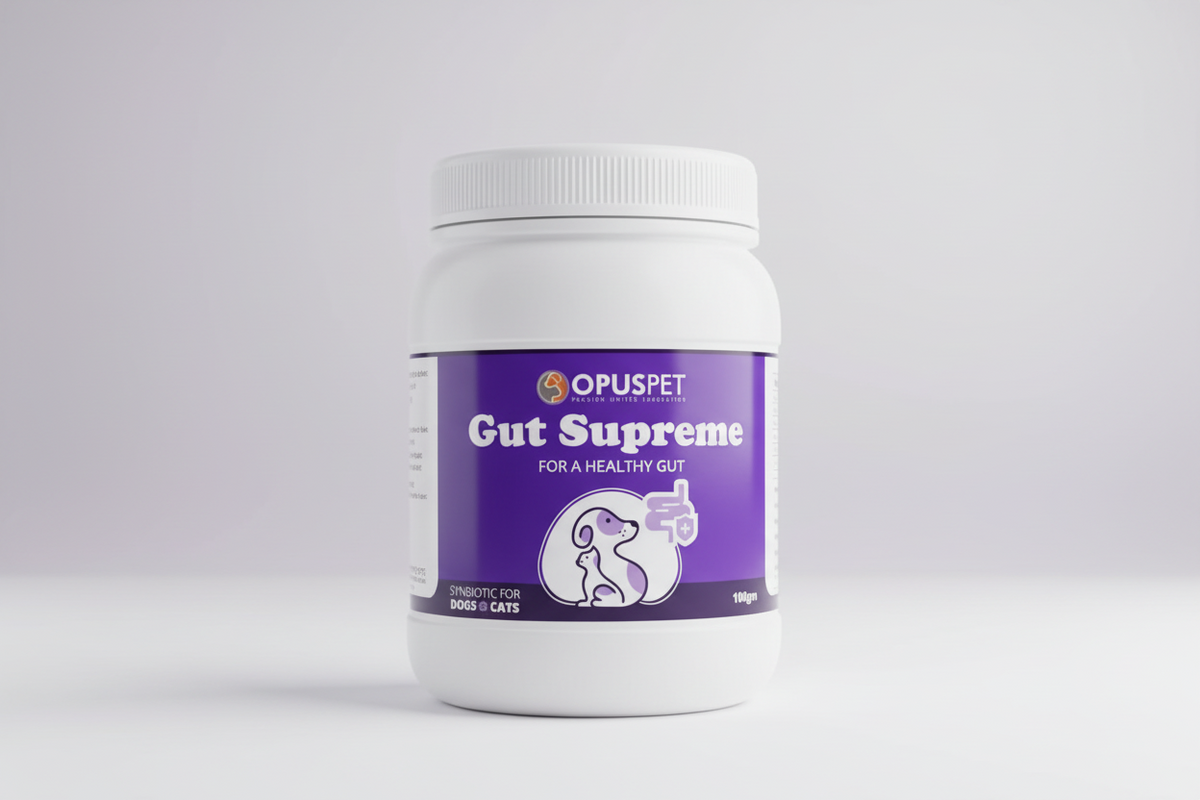 GUT SUPREME 100GM