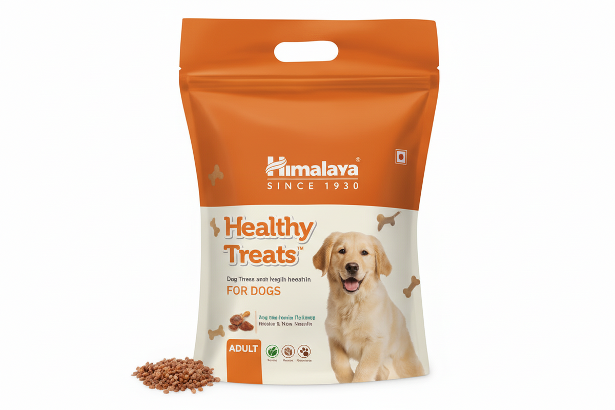 HEALTHY TREATS (ADULT)
