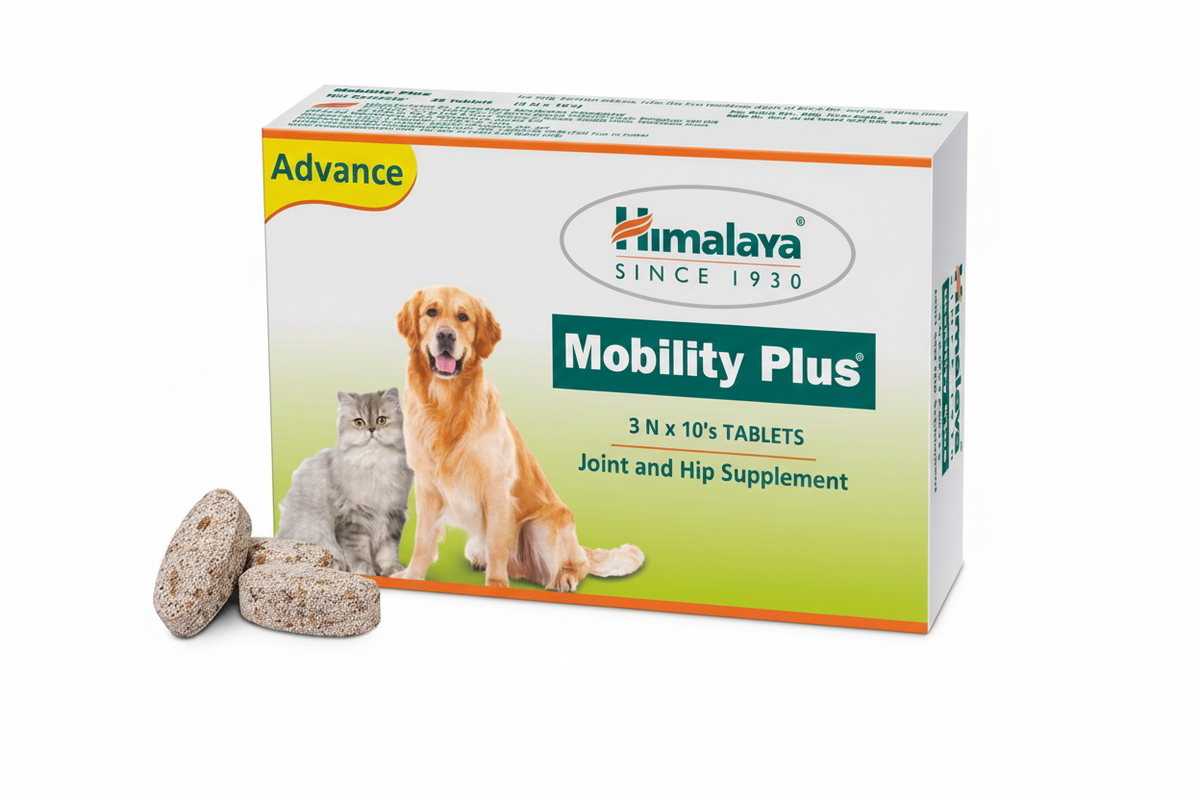 MOBILITY PLUS
