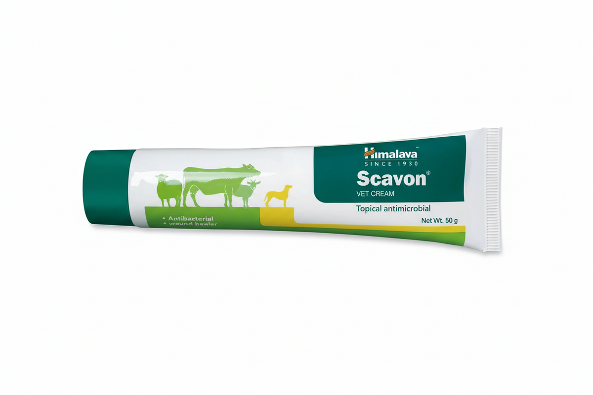 SCAVON 50GM