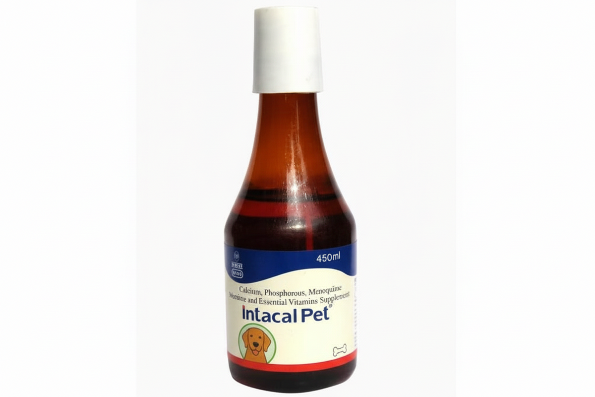 INTACAL PET 450ML