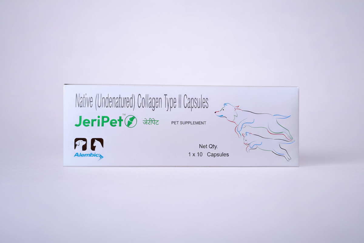 JERI PET CAP