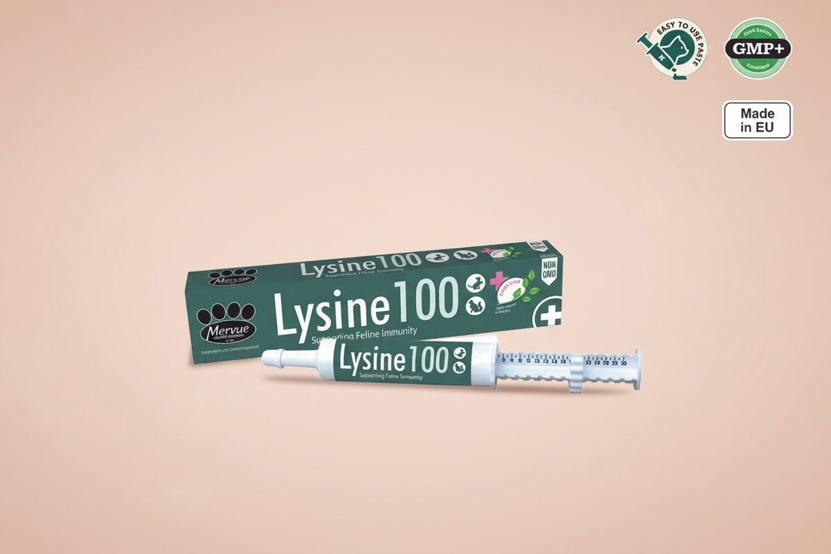 LYSINE 100 CAT PASTE 30ML