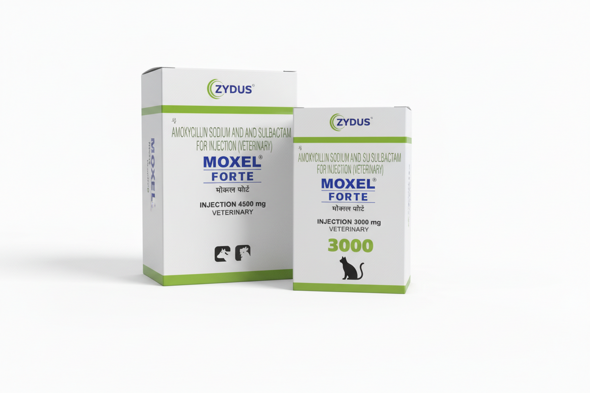MOXEL FORTE INJ
