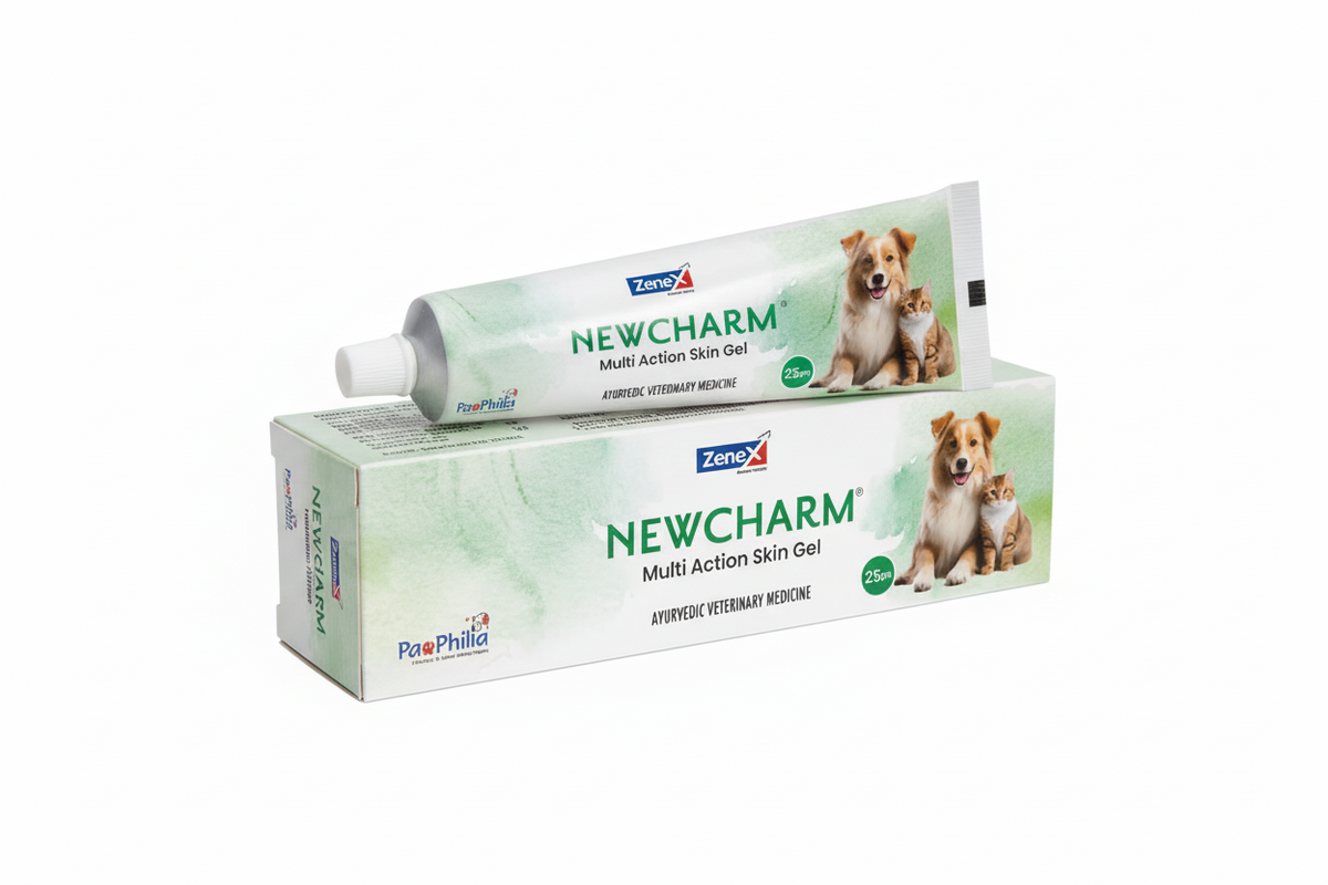 NEW CHARM GEL 25GM