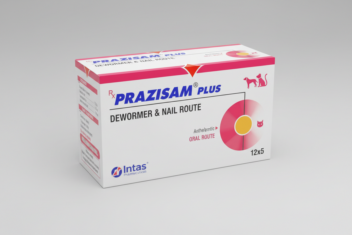 PRAZISAM PLUS TAB 12X5
