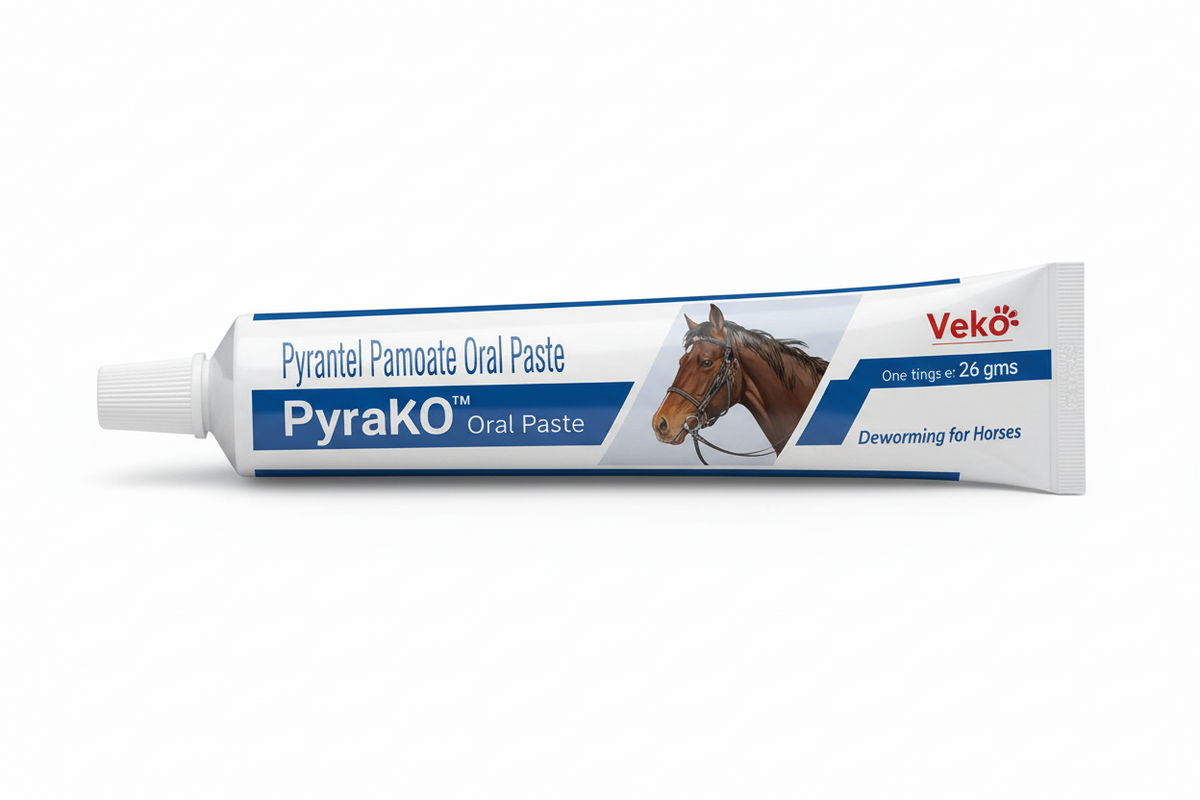 VEKO PYRAKO ORAL PASTE 26GMS