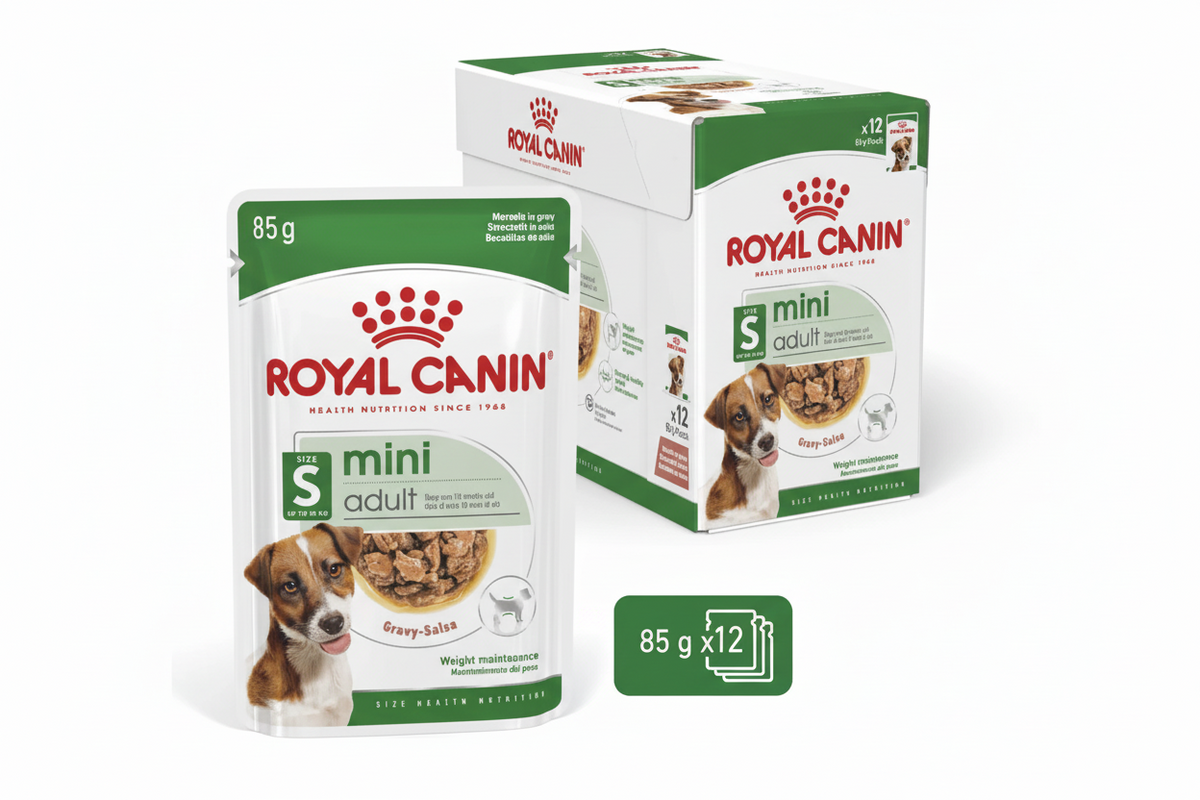 R MINI ADULT POUCHES 12*85gm