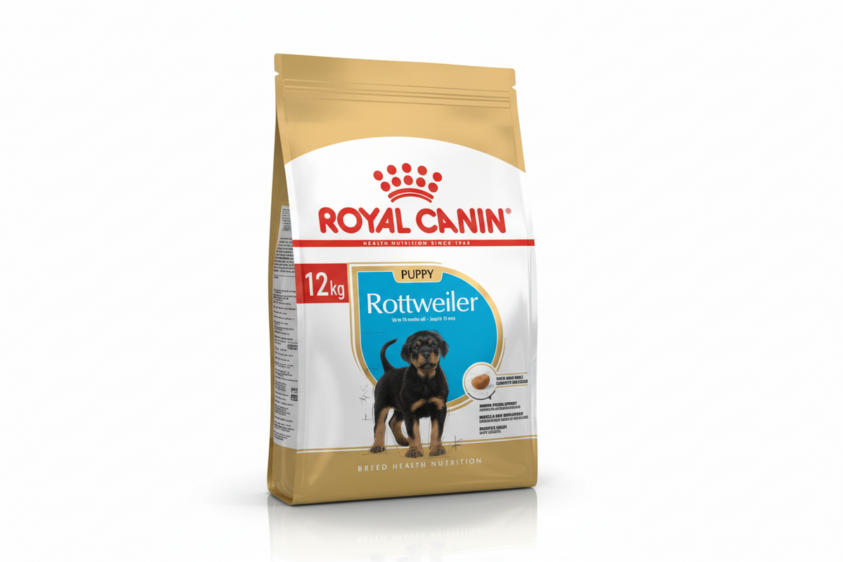 R ROTTWELLER PUPPY 12KG