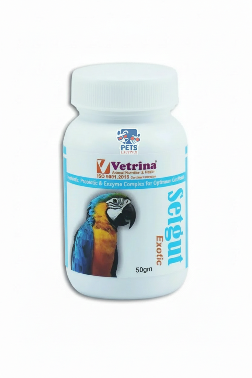VR SETGUT EXOTIC 50GM