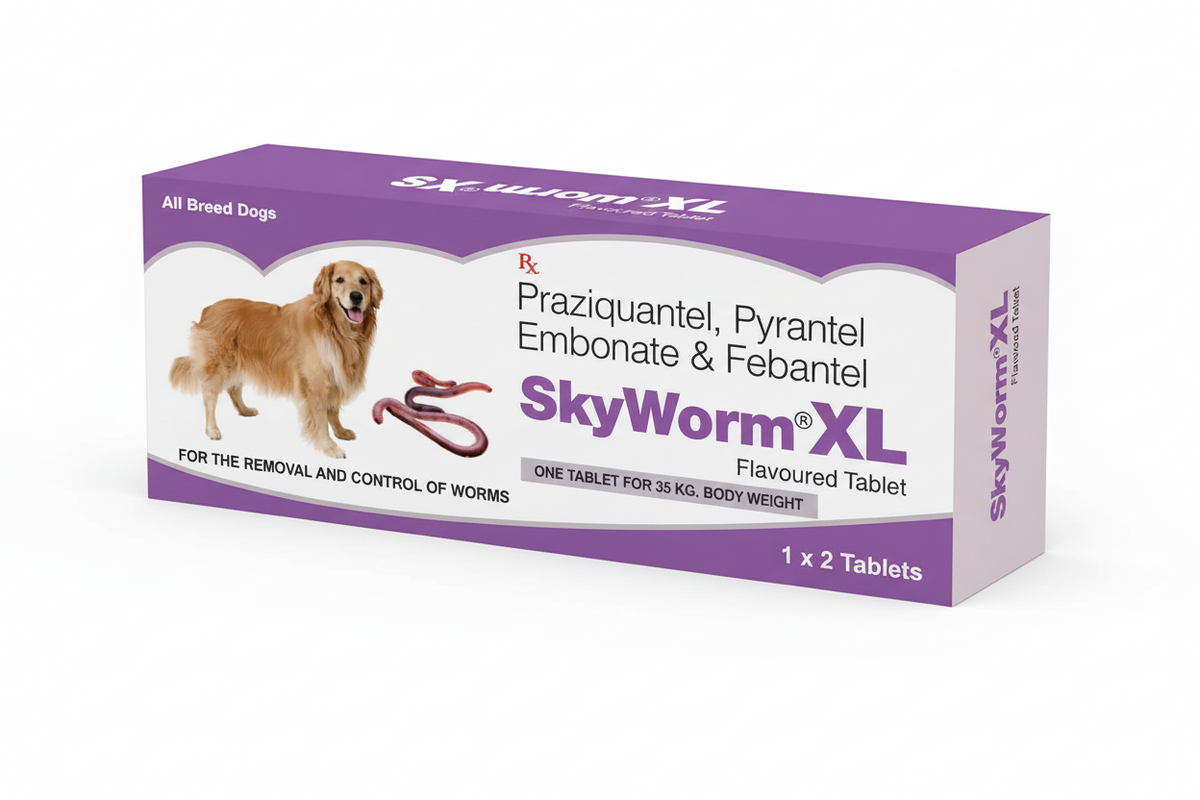 SKYWORM XL TAB 2S