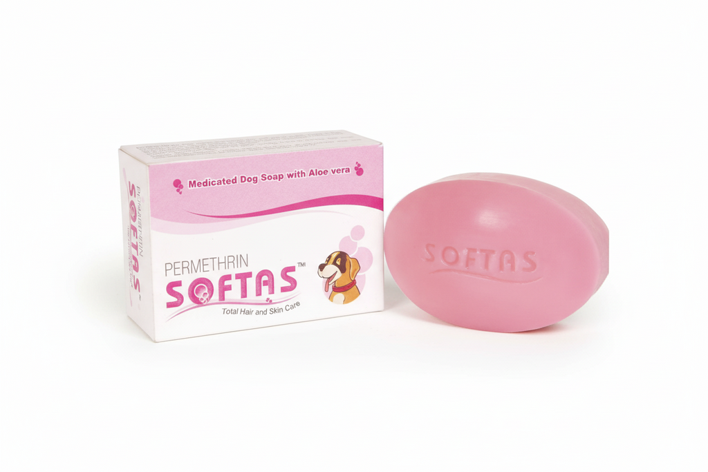 SOFTAS SOAP