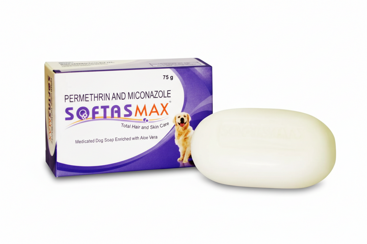 SOFTAS MAX SOAP