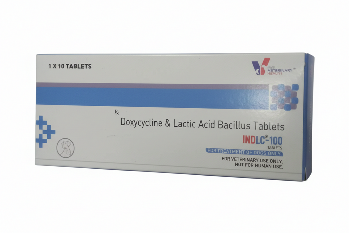 INDLC 100 TAB